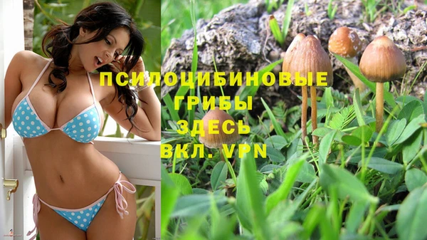 ALPHA-PVP Абдулино