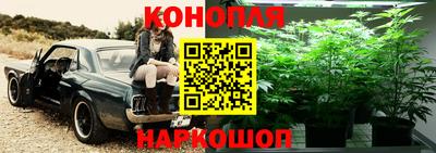 дживик Сланцы