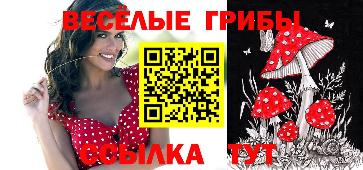 Серпухов  Псилоцибиновые грибы ЛСД  Вход с VPN 